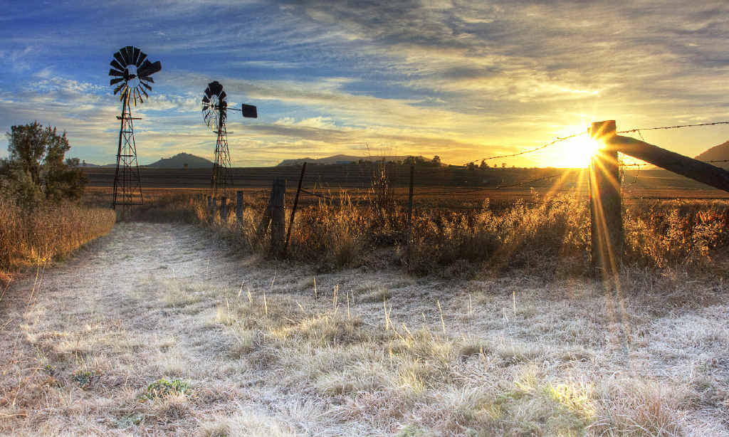 Jack Frost has returned to the Southern Downs again this year. Photographer Chris McFerran took this stunning picture of frost sprinkled acrss the grouund last winter.